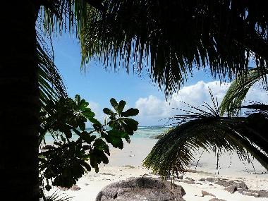 Maison de vacances �/en/au Au cap Mahe seychelles (Anse Royale)ou appartement ou maison de vacances