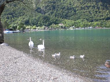 Chalet /en/au Porlezza (Como)ou appartement ou maison de vacances