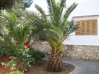 Maison de vacances /en/au Cala Santanyi (Mallorca)ou appartement ou maison de vacances