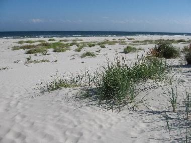 Maison de vacances /en/au Simrishamn (Skne)ou appartement ou maison de vacances