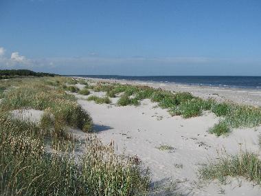 Maison de vacances /en/au Simrishamn (Skne)ou appartement ou maison de vacances