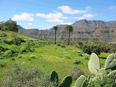 Maison de vacances �/en/au Santa Lucia de Tirajana (Gran Canaria)ou appartement ou maison de vacances
