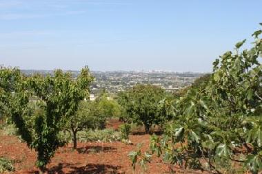 Appartement de vacances /en/au martina franca (Taranto)ou appartement ou maison de vacances