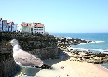 Appartement de vacances �/en/au Ericeira (Grande Lisboa)ou appartement ou maison de vacances