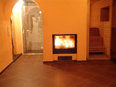 Appartement de vacances /en/au Waschleithe (Erzgebirge)ou appartement ou maison de vacances