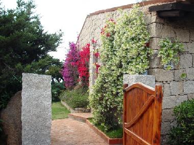 Maison de vacances /en/au Baja Sardinia (Olbia-Tempio)ou appartement ou maison de vacances