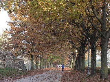 Appartement de vacances /en/au Lucca (Lucca)ou appartement ou maison de vacances