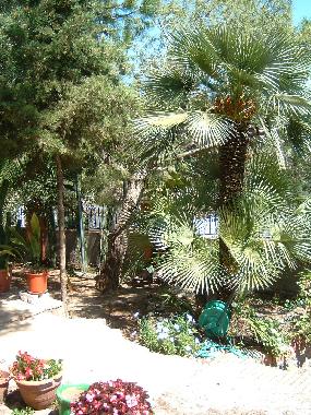 Appartement de vacances /en/au Tarragona, Playa de La Mora (Tarragona)ou appartement ou maison de vacances