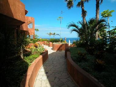 Appartement de vacances �/en/au Palm Mar (Teneriffa)ou appartement ou maison de vacances