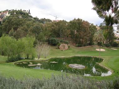 Appartement de vacances �/en/au Nueva Andalucia (M�laga)ou appartement ou maison de vacances