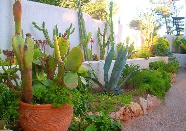 Maison de vacances �/en/au Sol de Mallorca (Mallorca)ou appartement ou maison de vacances