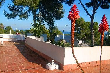 Maison de vacances �/en/au Sol de Mallorca (Mallorca)ou appartement ou maison de vacances