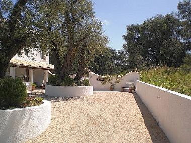 Maison de vacances �/en/au Arillas  (Kerkyra)ou appartement ou maison de vacances
