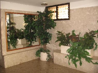 Appartement de vacances �/en/au Netanya (HaMerkaz (Central))ou appartement ou maison de vacances