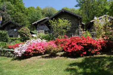 Maison de vacances �/en/au Miazzina (Verbano-Cusio-Ossola)ou appartement ou maison de vacances