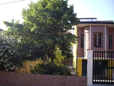 vue du jardin 1