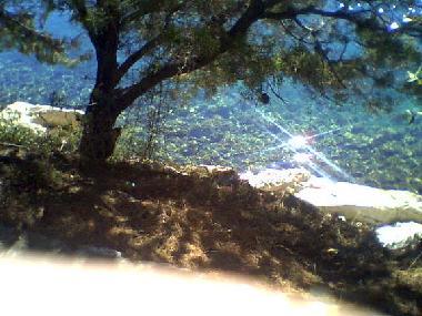 Appartement de vacances �/en/au Povlja (Splitsko-Dalmatinska)ou appartement ou maison de vacances