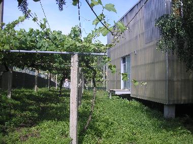 Maison de vacances �/en/au Padri��n (Pontevedra)ou appartement ou maison de vacances