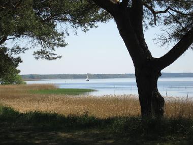 Maison de vacances �/en/au Quilitz (Ostsee-Inseln)ou appartement ou maison de vacances