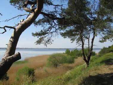 Maison de vacances �/en/au Quilitz (Ostsee-Inseln)ou appartement ou maison de vacances