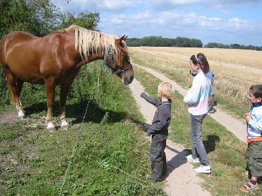 Maison de vacances �/en/au Quilitz (Ostsee-Inseln)ou appartement ou maison de vacances