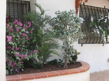 Appartement de vacances �/en/au Eilat (HaDarom (Southern))ou appartement ou maison de vacances