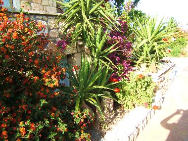 Maison de vacances /en/au Hanioti (Chalkidiki)ou appartement ou maison de vacances