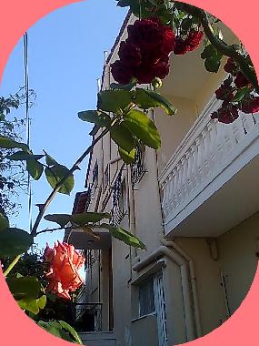 Appartement de vacances �/en/au Agios Gordios-Kerkyra (Kerkyra)ou appartement ou maison de vacances