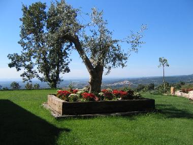 Maison de vacances /en/au CANDELEDA-EL RASO (vila)ou appartement ou maison de vacances