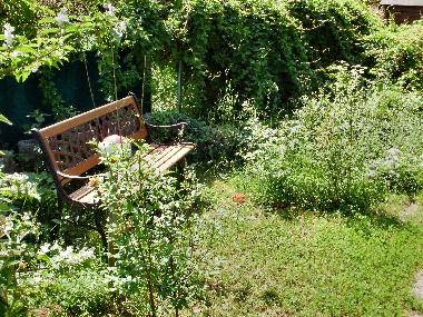 Appartement de vacances �/en/au Zellerndorf (Weinviertel)ou appartement ou maison de vacances
