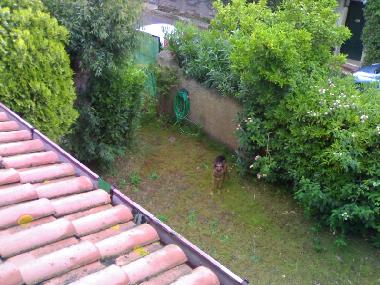 Maison de vacances �/en/au Ardea (Roma)ou appartement ou maison de vacances