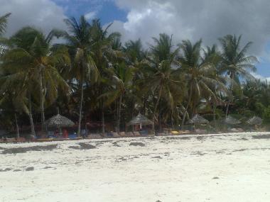 Appartement de vacances �/en/au Watamu (Coast)ou appartement ou maison de vacances