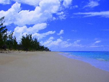 Appartement de vacances �/en/au Palmetto Point (Governor