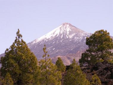 Appartement de vacances �/en/au Los Christianos (Teneriffa)ou appartement ou maison de vacances