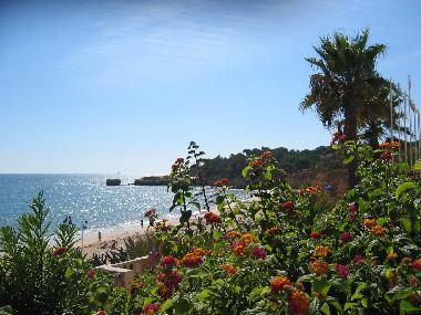 Maison de vacances /en/au Albufeira (Algarve)ou appartement ou maison de vacances