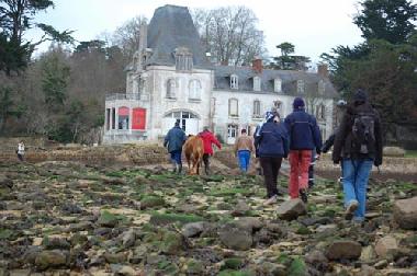 Chambre avec petit d�jeuner �/en/au DOUARNENEZ (Finist�re)ou appartement ou maison de vacances