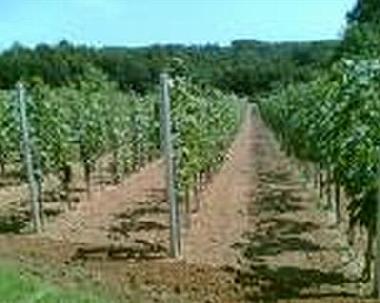 Appartement de vacances /en/au Vrbnik KRK (Primorsko-Goranska)ou appartement ou maison de vacances