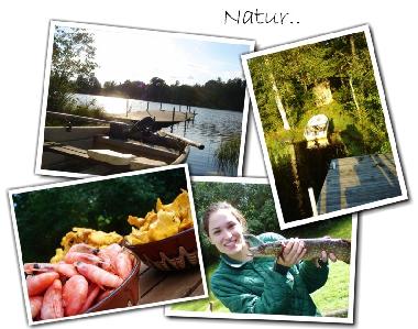 Maison de vacances �/en/au Forserum (Smaland)ou appartement ou maison de vacances