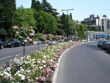 Portoroz