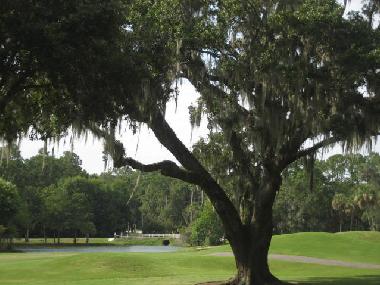 Maison de vacances �/en/au Okatie (South Carolina)ou appartement ou maison de vacances