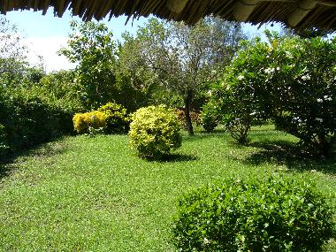 Appartement de vacances �/en/au diani (Coast)ou appartement ou maison de vacances