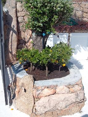 Maison de vacances �/en/au Abbiadori (Olbia-Tempio)ou appartement ou maison de vacances