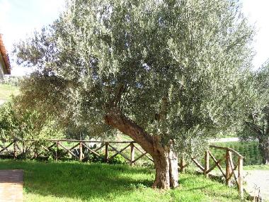 Appartement de vacances /en/au SQUILLACE (Catanzaro)ou appartement ou maison de vacances