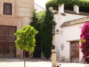 Appartement de vacances �/en/au CORDOBA (C�rdoba)ou appartement ou maison de vacances