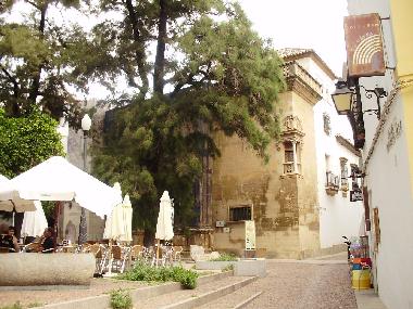 Appartement de vacances �/en/au CORDOBA (C�rdoba)ou appartement ou maison de vacances