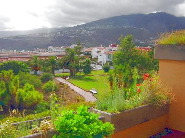 Appartement de vacances �/en/au 38400 (Teneriffa)ou appartement ou maison de vacances