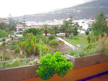 Appartement de vacances �/en/au 38400 (Teneriffa)ou appartement ou maison de vacances