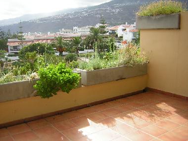 Appartement de vacances �/en/au 38400 (Teneriffa)ou appartement ou maison de vacances