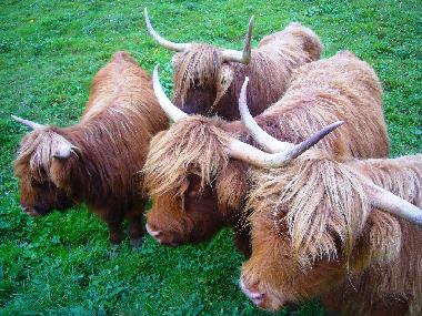 Appartement de vacances /en/au Riezlern (Bludenz-Bregenzer Wald)ou appartement ou maison de vacances