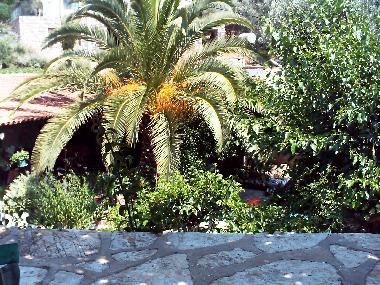 Maison de vacances /en/au BODRUM-YALIKAVAK (Mugla)ou appartement ou maison de vacances